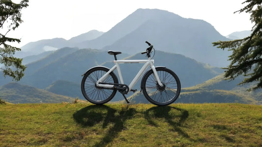 Hellgraues VanMoof S5 E-Bike auf einer grünen Anhöhe vor malerischer Bergkulisse - Headerbild für Testbericht