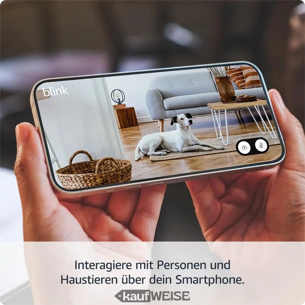 Silbernes Smartphone mit schwarzem Bildschirm und Blink Mini 2 App