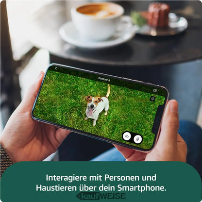 Smartphone zeigt Hund auf Rasen bei Blink Outdoor 4 Überwachungskamera Set