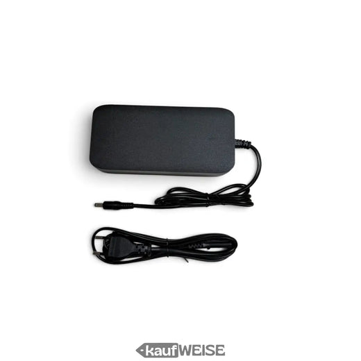 Charger for Volta GTS One | 54.6V 2A | Li-Ion Battery Charger