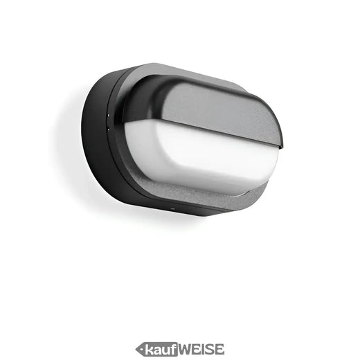 RZB Alu-Lux Oval LED wall & ceiling light | 582065.0031.1