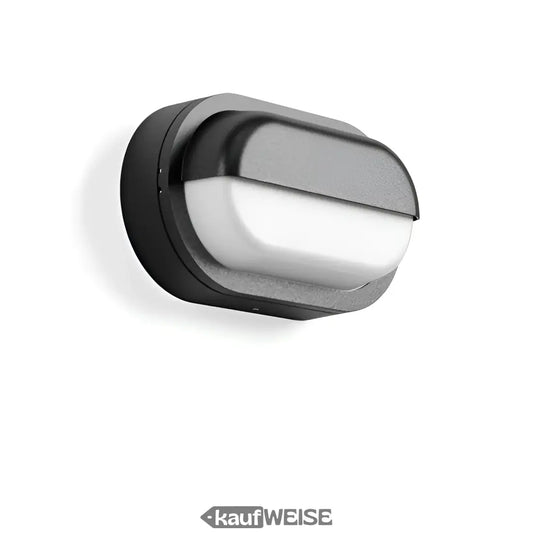 Schwarze und silberne moderne Wand- und Deckenleuchte RZB Alu-Lux Oval LED