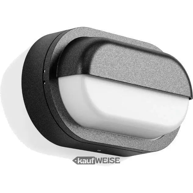 Moderne schwarze und silberne Wand- und Deckenleuchte RZB Alu-Lux Oval LED