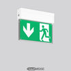 RZB GSUN S LED emergency light | Autotest & Universal Assembly | 24m detection | Incl. 4 pictograms