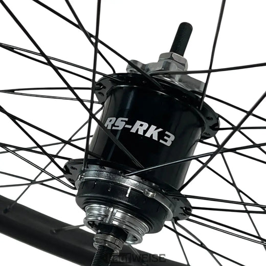 Sturmey-Archer RS-RK3 3-speed hub gear with disc mount